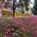 Il settembre di pordenonelegge
