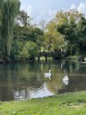 Il nostro fiume, i nostri parchi