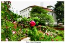 Parco Galvani