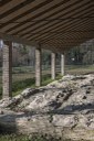 Museo civico archeologico e Villa Romana