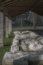 Museo civico archeologico e Villa Romana