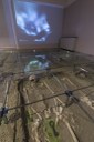 Museo civico archeologico e Villa Romana
