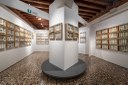 Museo civico di storia naturale