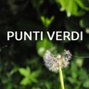 quadratapuntiverdi.jpg