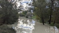 Allerta meteo