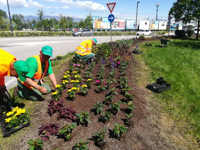 Fioriture e sfalci d’erba in città
