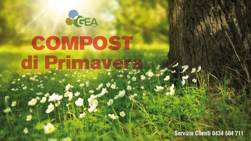 La primavera nel... sacco