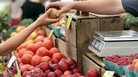 Mercato di Torre, aperte le candidature per gestirlo