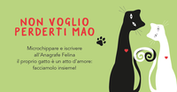 Microchip gratuito per il tuo gatto