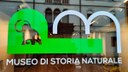 Nuova immagine per la rete di musei di Pordenone