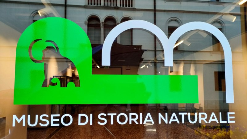 Nuova immagine per la rete di musei di Pordenone