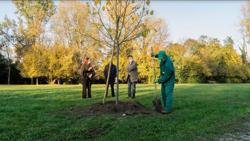 In arrivo 2.500 nuovi alberi