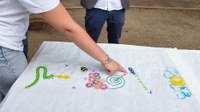 Progetto Cortile a colori