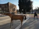 Sculture in piazze e parchi, sabato l'inaugurazione