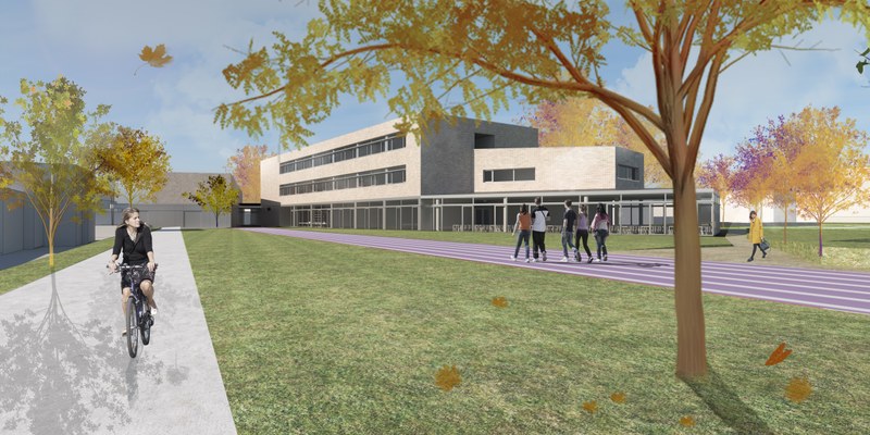 Scuola Lozer, si abbattono 4 alberi ma se ne pianteranno 50