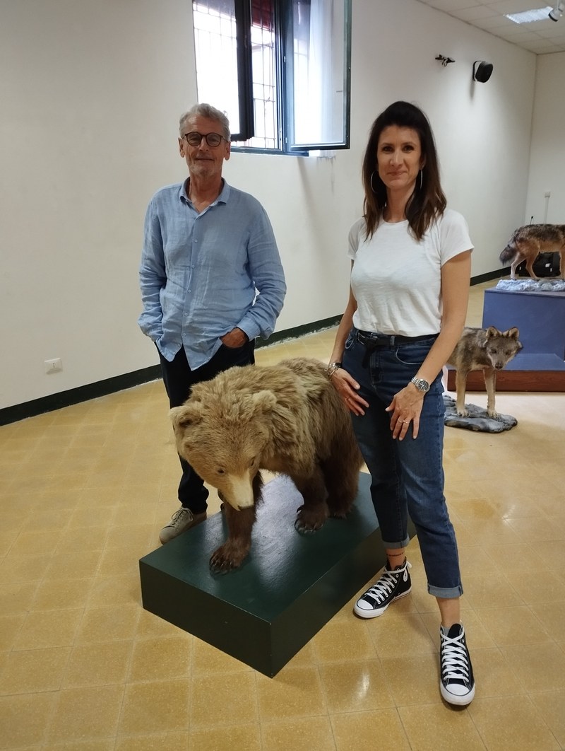Un giovane orso bruno pordenonese arriva a Ferrara