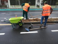 Via Cappuccini, iniziata la posa del nuovo verde urbano