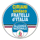 FRATELLI-DITALIA-ALLEANZA-NAZIONALE.gif