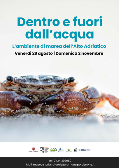 DENTRO E FUORI DALL'ACQUA