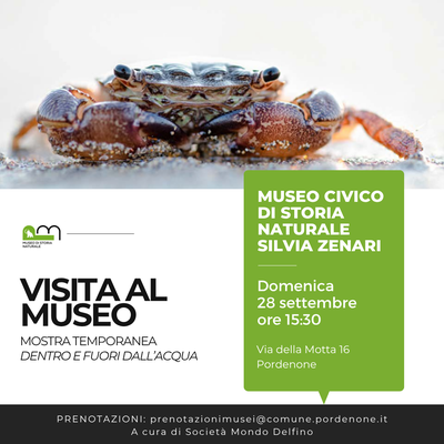 Visita al museo