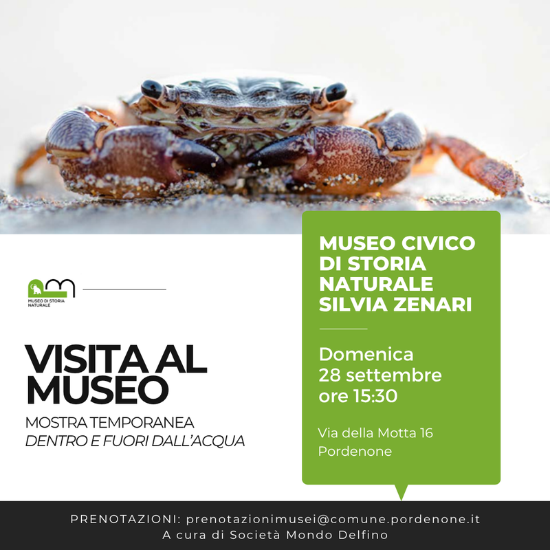 Visita al museo