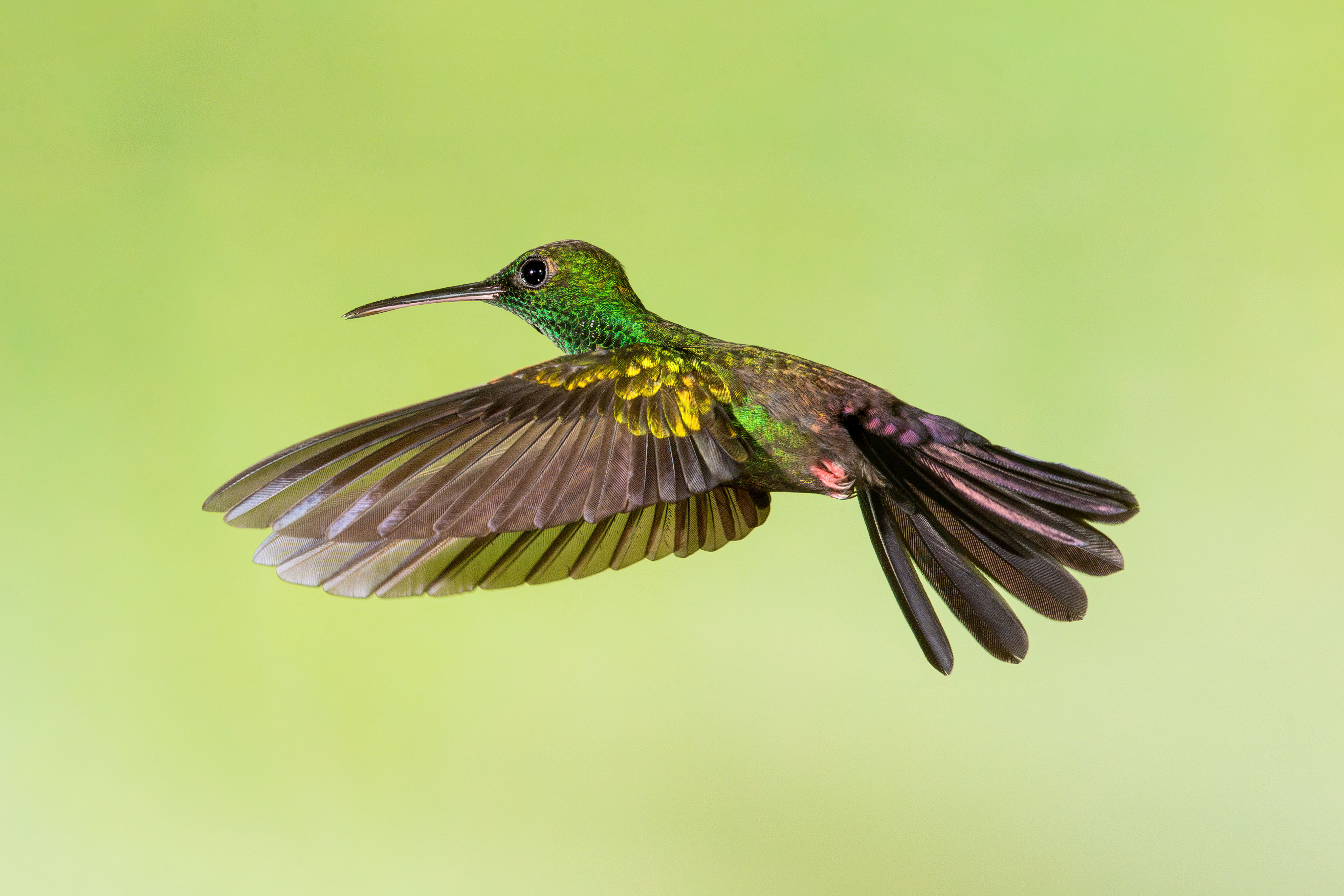 Foto di Patrizio Maniero
