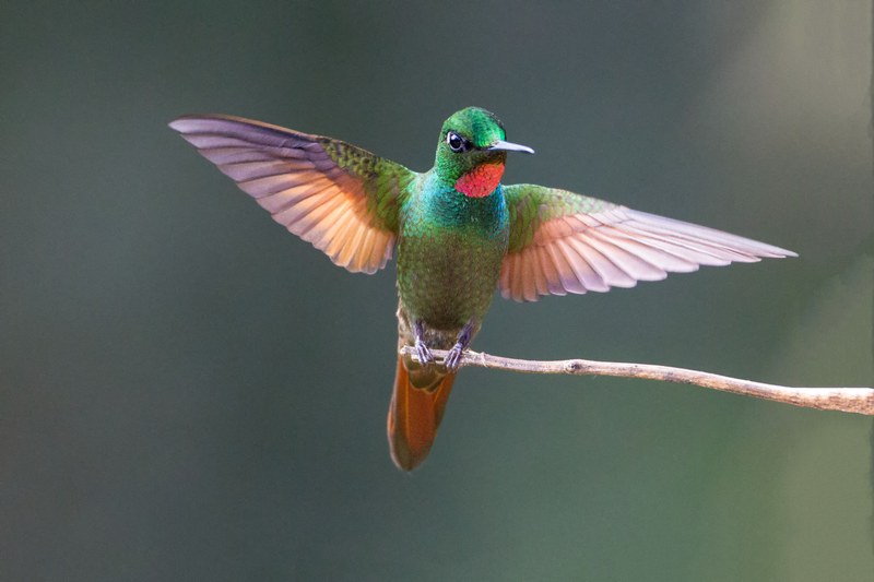 Foto di Patrizio Maniero