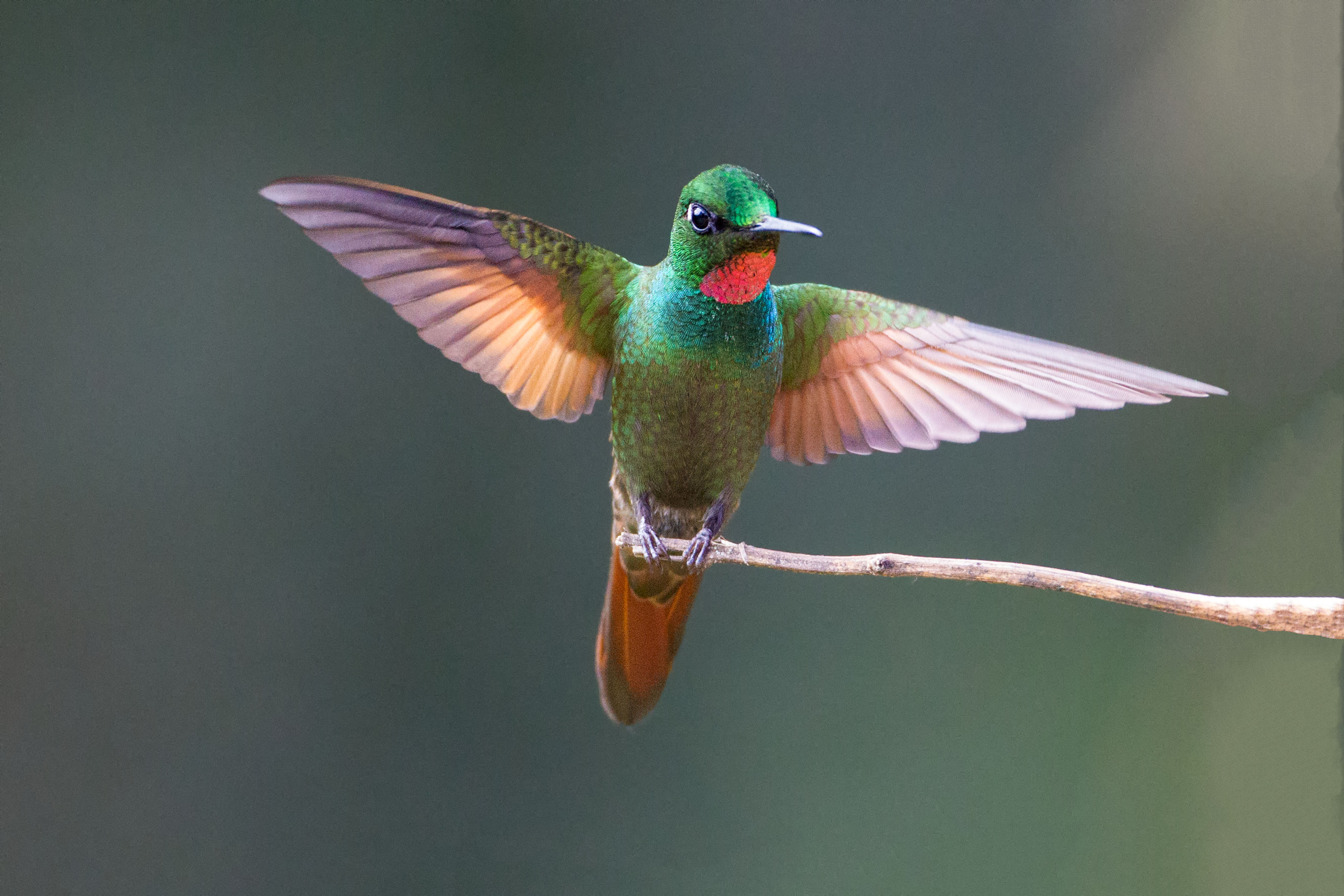 Foto di Patrizio Maniero