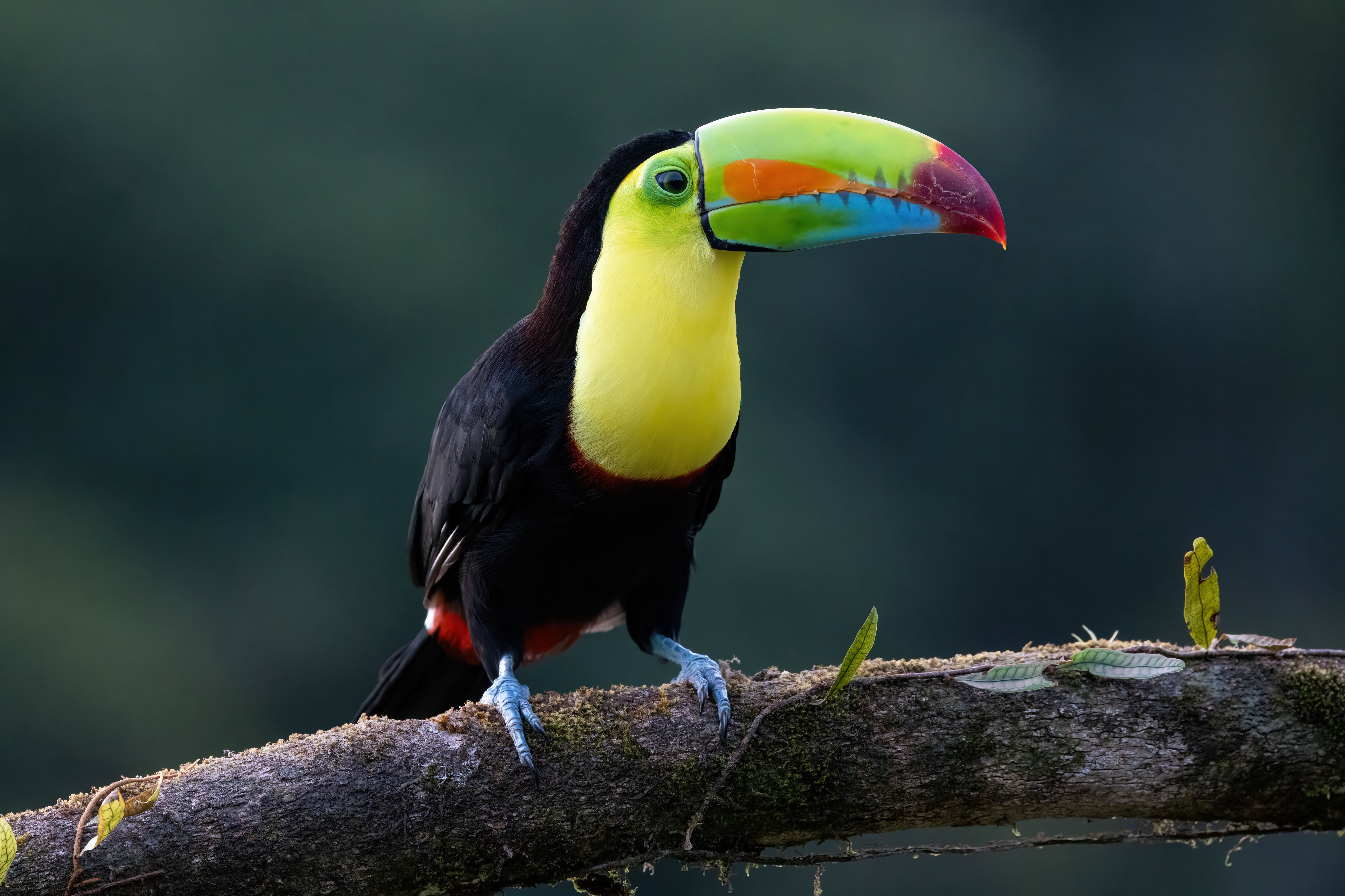 Foto di Patrizio Maniero