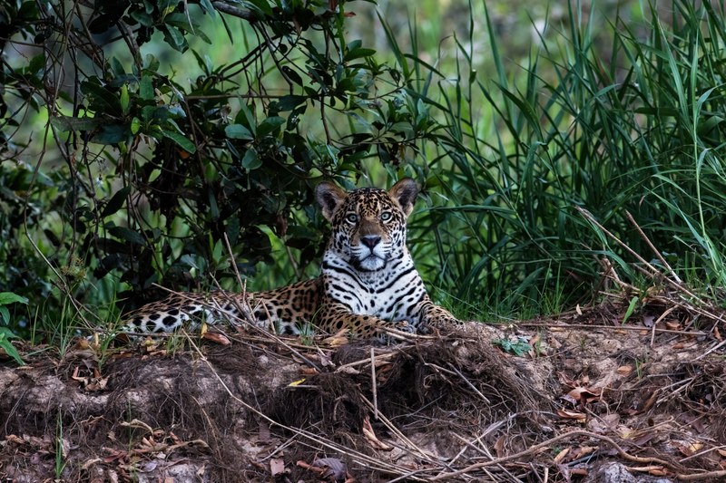 Foto di Patrizio Maniero