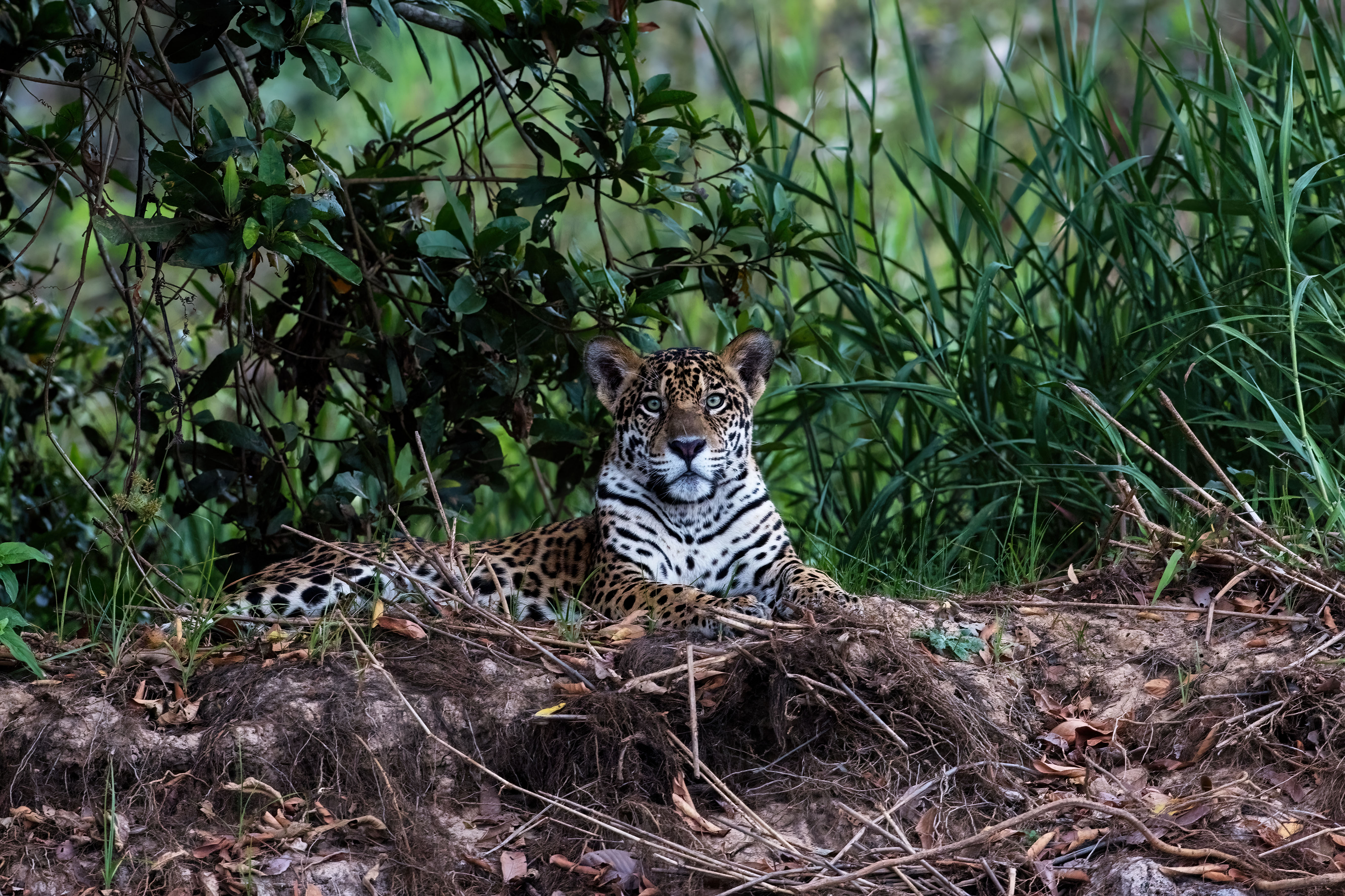 Foto di Patrizio Maniero