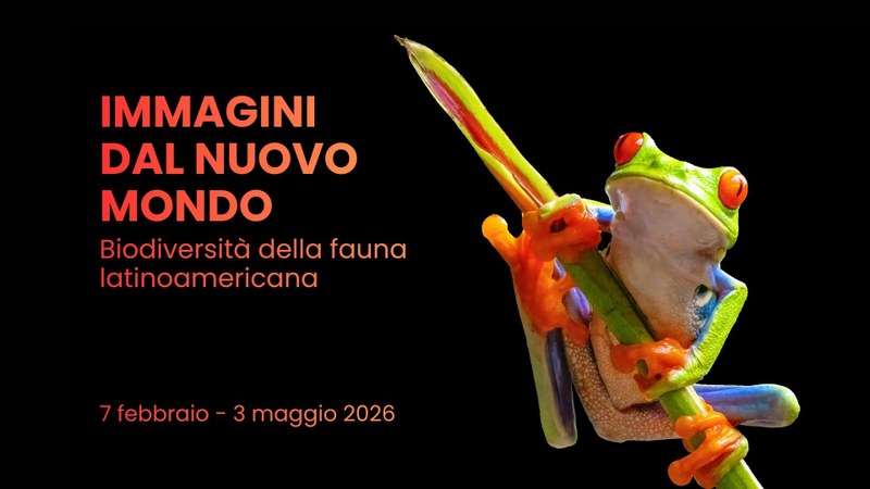 Immagini dal nuovo mondo di Patrizio Maniero