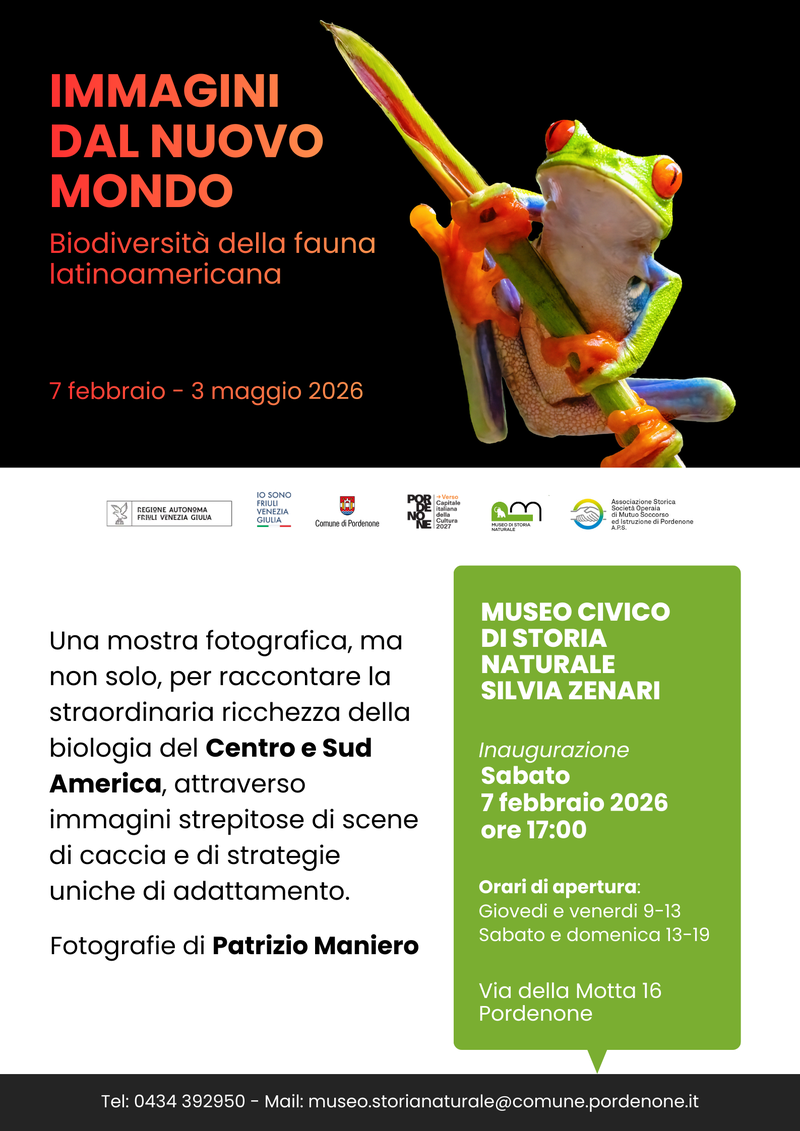 Immagini dal nuovo mondo.png