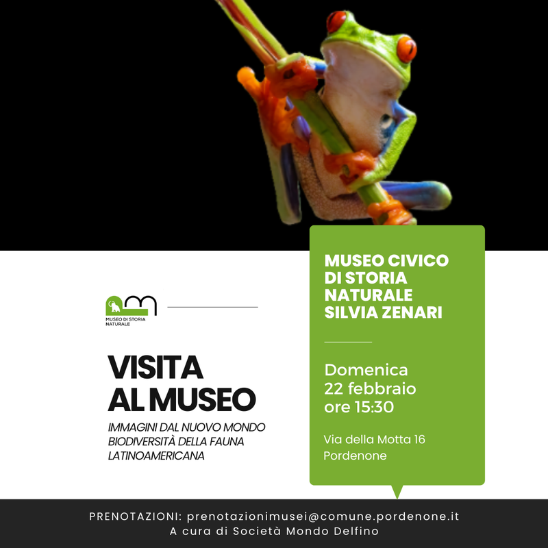 Museo Di Storia Naturale - mostra Immagini dal Nuovo Mondo - biodiversità della fauna latinoamericana - visita guidata - 22 febbraio 2026 - Società Mondo Delfino Cooperativa Sociale - Musei.png