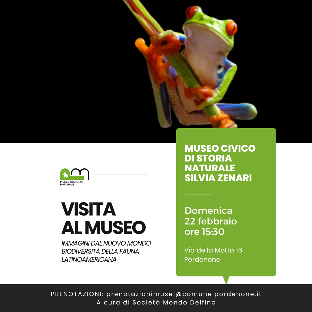 Museo Di Storia Naturale - mostra Immagini dal Nuovo Mondo - biodiversità della fauna latinoamericana - visita guidata - 22 febbraio 2026 - Società Mondo Delfino Cooperativa Sociale - Musei.png