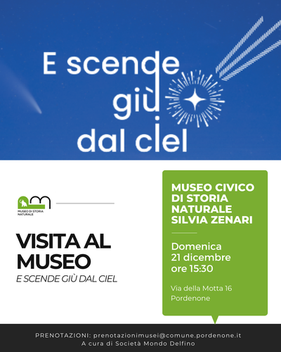 Visita guidata alla mostra "E scende giù dal ciel"