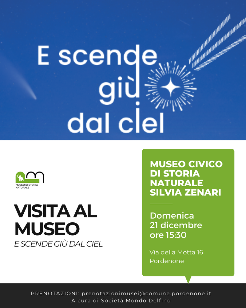 Visita guidata alla mostra "E scende giù dal ciel"