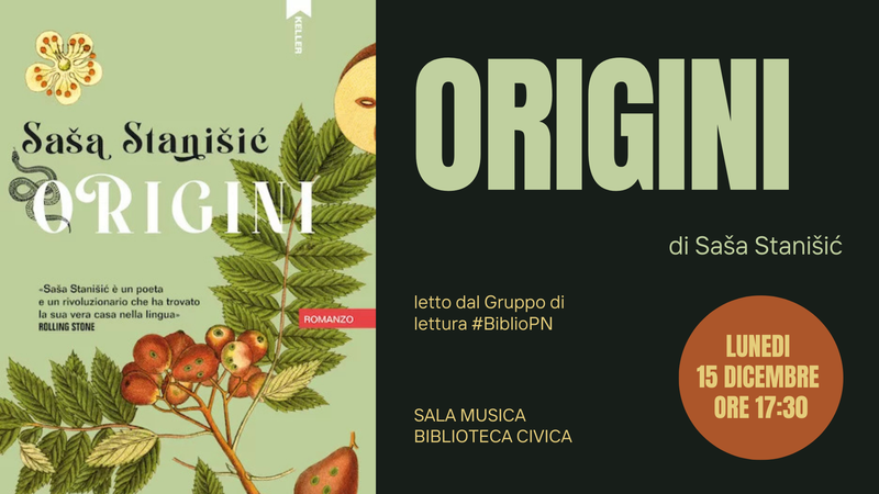 Origini, di Saša Stanišić