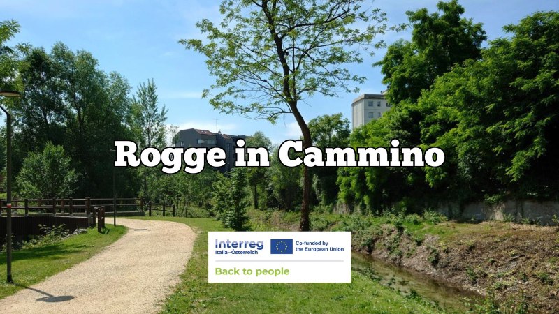 Rogge in Cammino