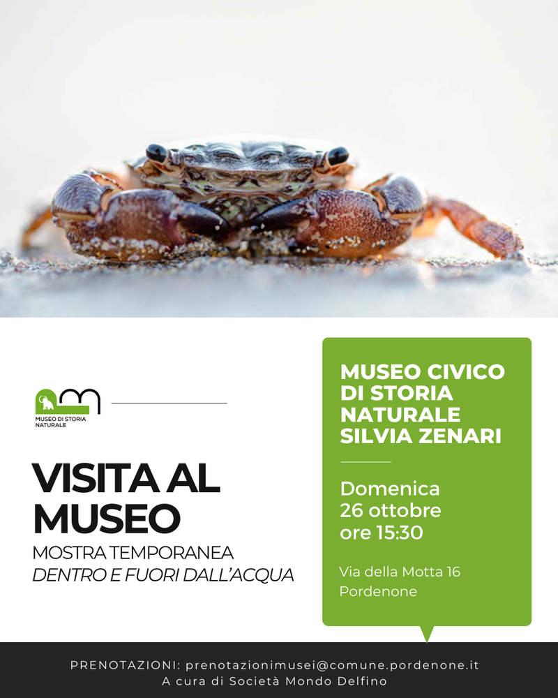 Visita tematica - Mostra "Dentro e fuori dall' acqua"