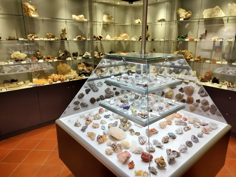 Museo civico di storia naturale - Palazzo Amalteo