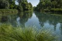 Fiume Noncello
