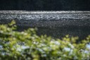 Lago della Burida