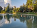 Lo specchio d'acqua. Foto di @edi_rag_ (18/08/2022)