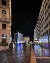 Veduta dell'Albero in piazza XX Settembre Foto di @sarariz84 (11/12/2022)