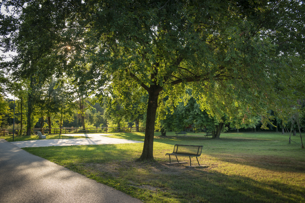 Parco dei Laghetti di Rorai