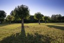 Parco dei Laghetti di Rorai