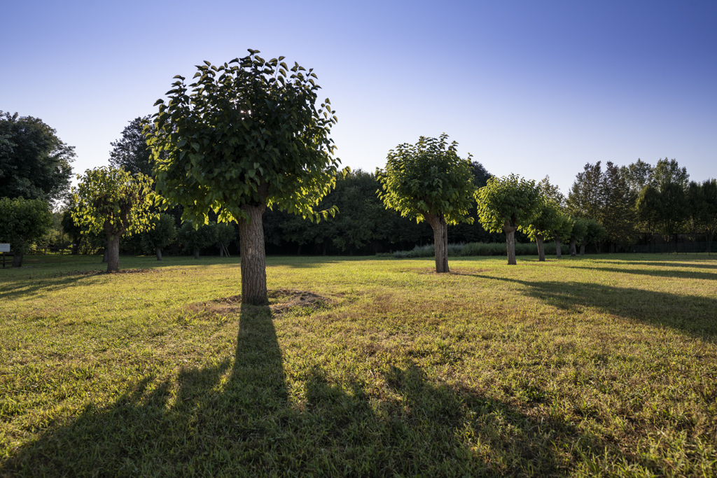 Parco dei Laghetti di Rorai