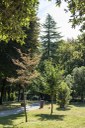 Parco Galvani