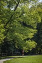 Parco San Valentino